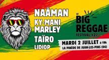 Ky-Mani Marley @ Big Reggae Festival