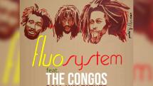 The Congos rendent hommage au peintre français Fluoman 