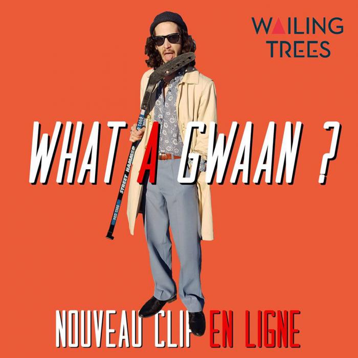 Wailing Trees : 'What A Gwaan ?' le clip