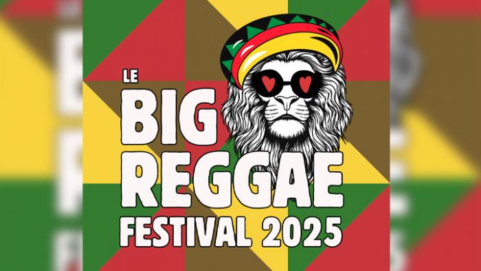 Danakil et Groundation au Big Reggae Festival